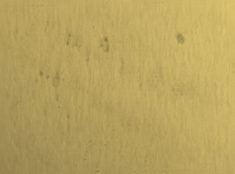 黑子 04 2012-6-6 6_54_43.jpg