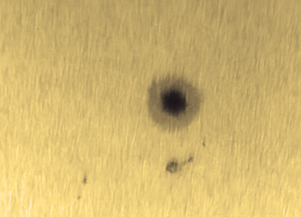 黑子 05 2012-6-6 6_35_15.jpg