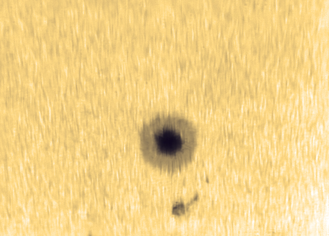 黑子 06 2012-6-6 6_47_58.jpg