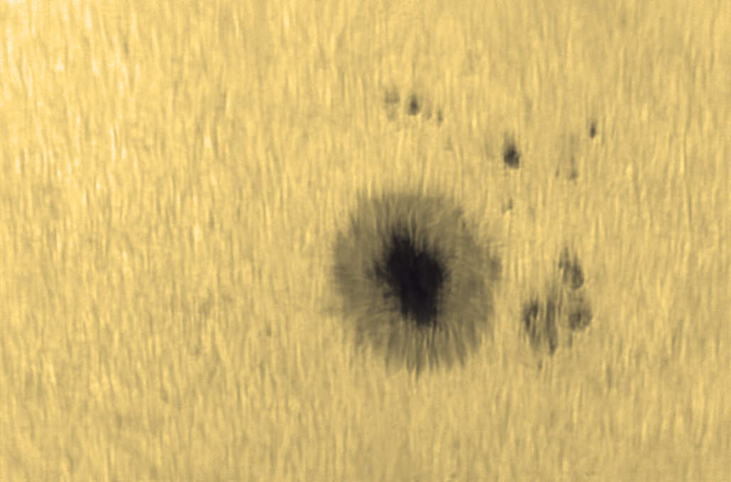 黑子 07 2012-6-6 6_53_11.jpg
