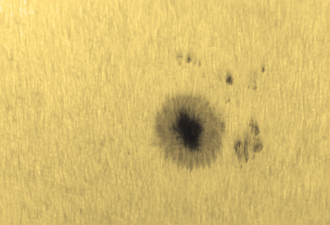 黑子 08 2012-6-6 6_53_53.jpg