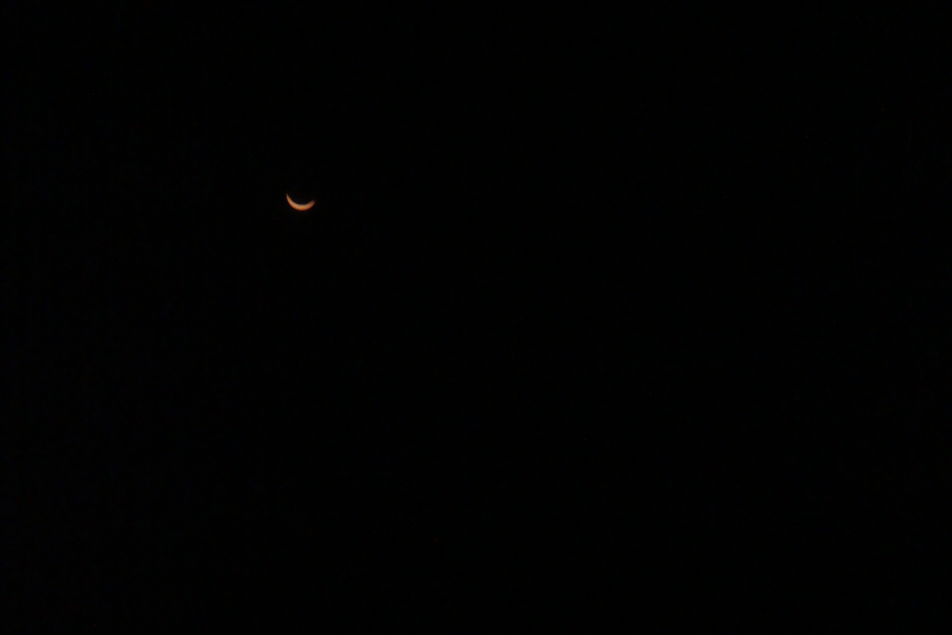 DSC01457.JPG