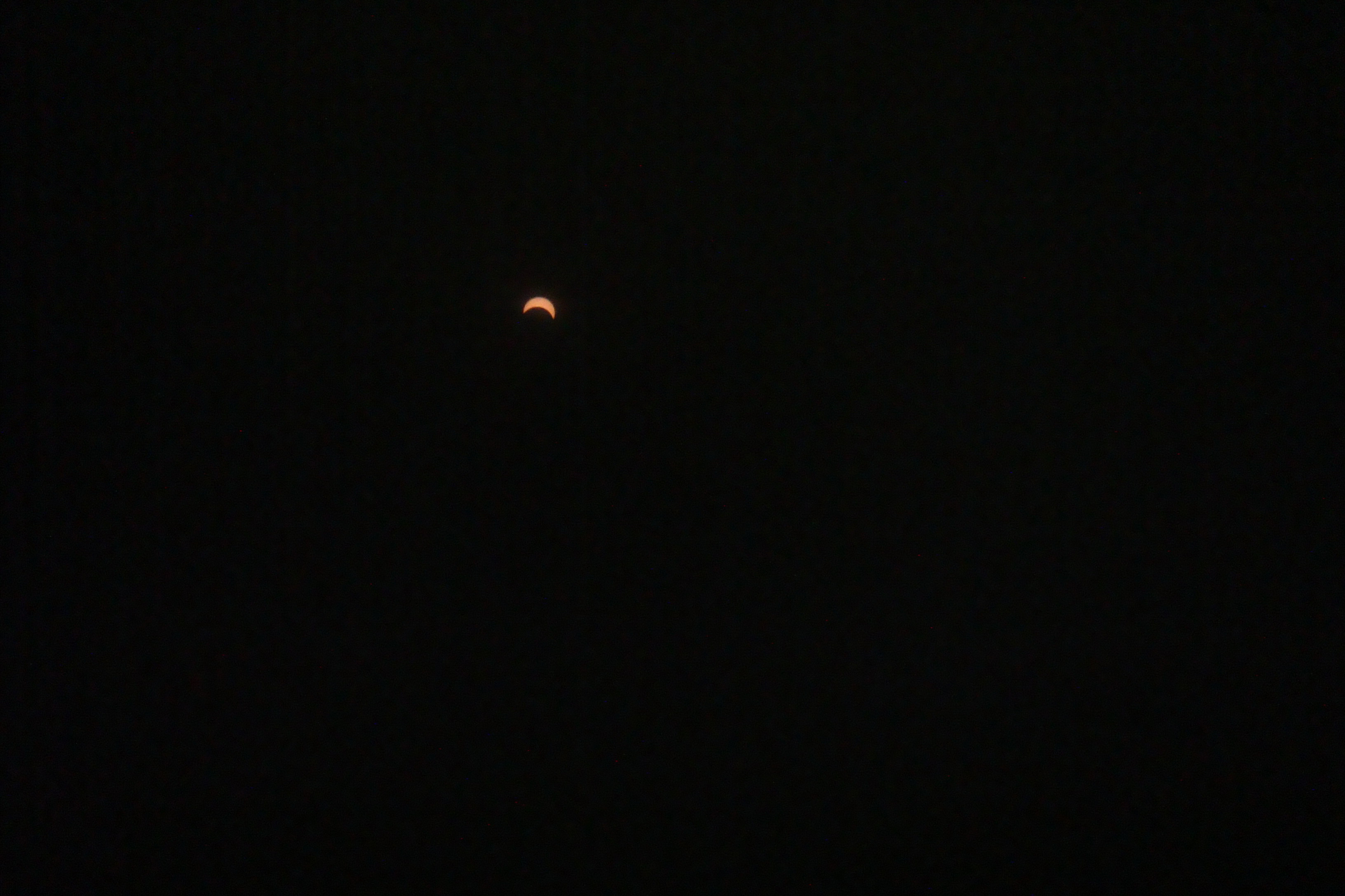 DSC01554.JPG