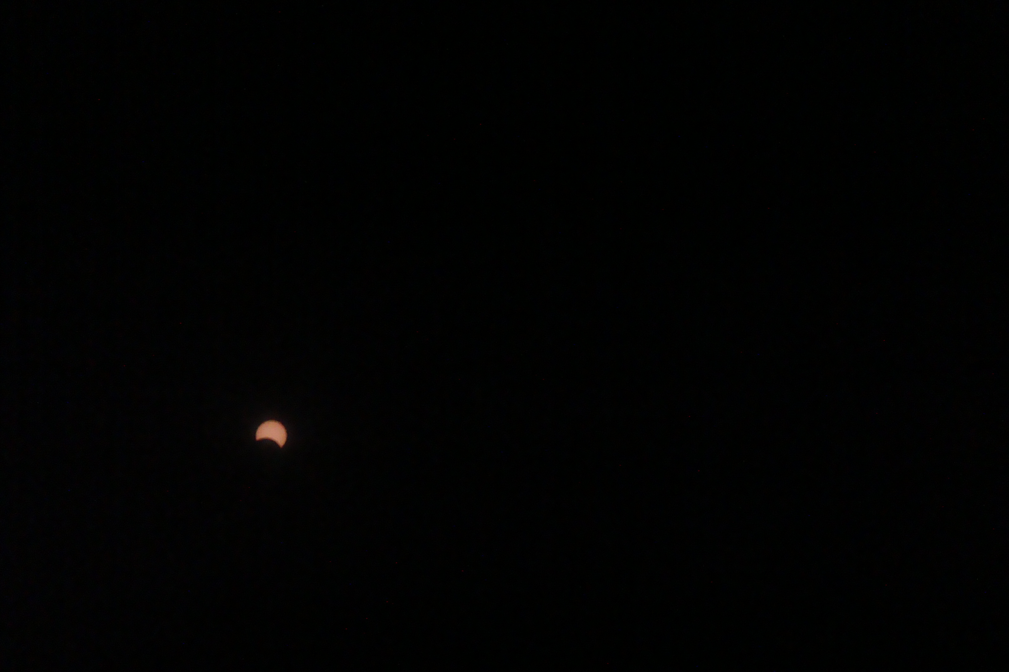 DSC01591.JPG