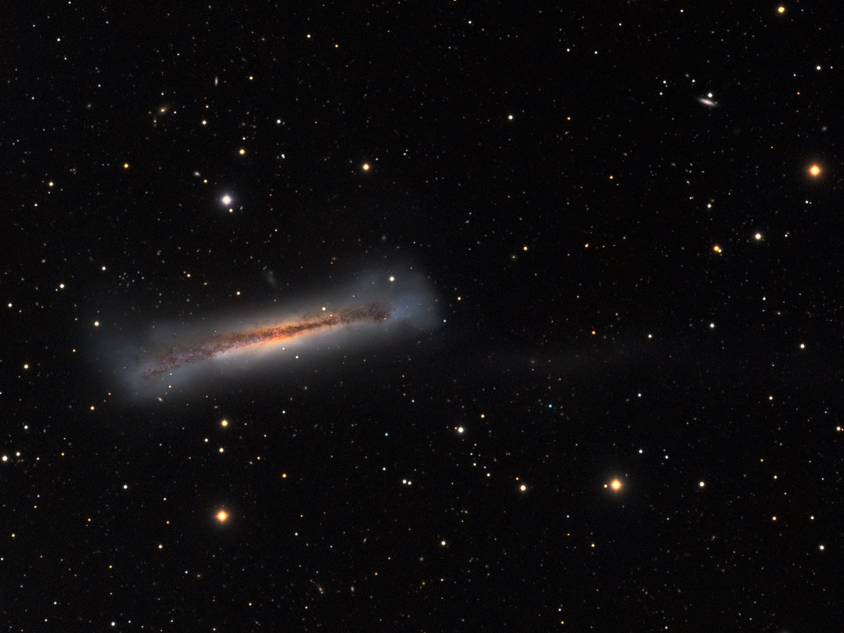 NGC3628 汉堡星系