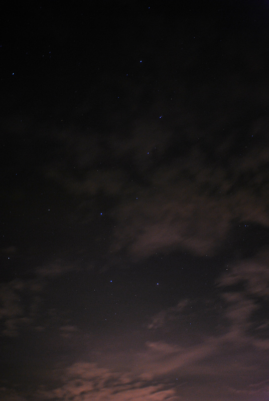 DSC_1126.JPG