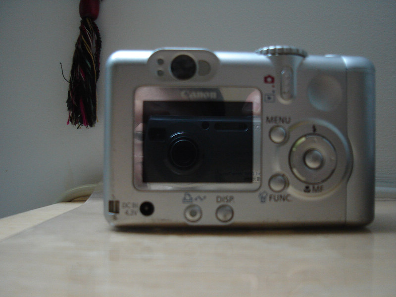 DSC09958.JPG
