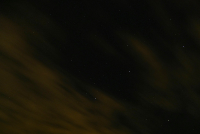 P1030574.jpg