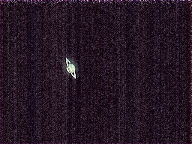 土豆2.jpg