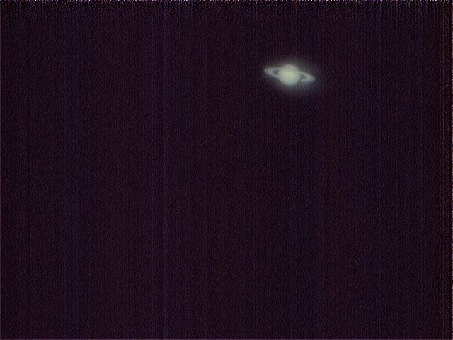 土豆3.jpg