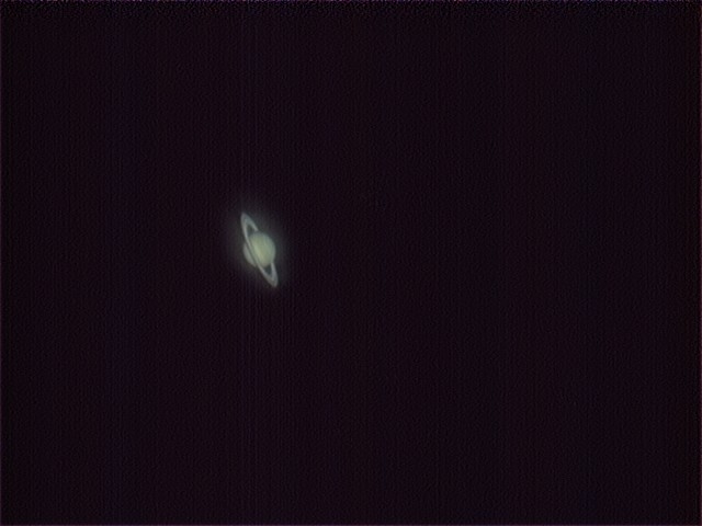 土豆1.jpg