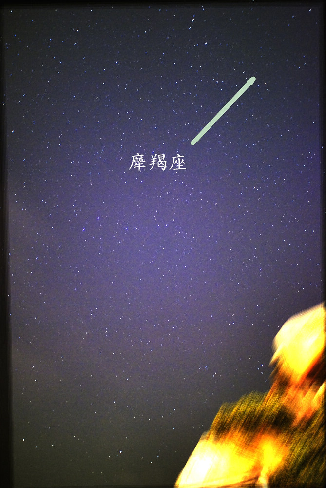 山羊.jpg
