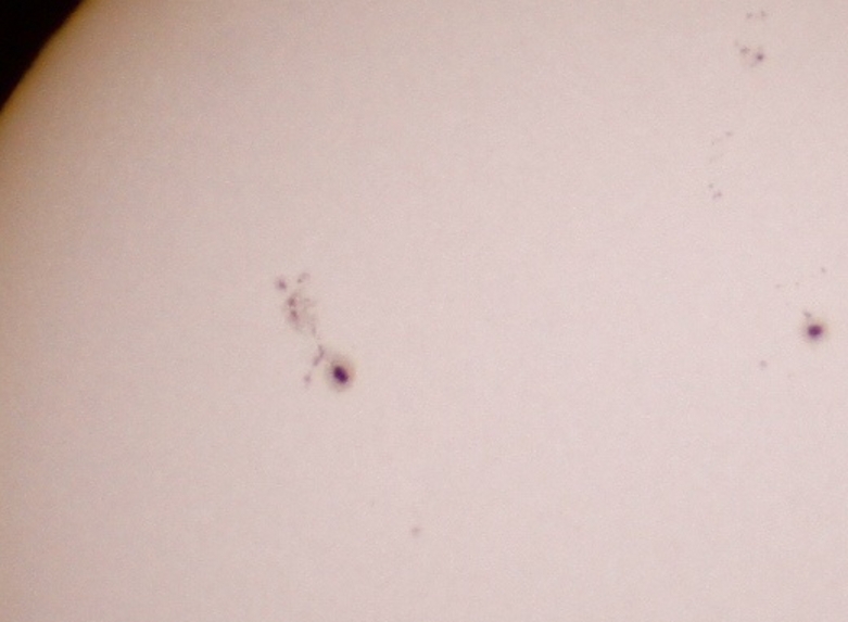 12701太阳 005_ 2.jpg