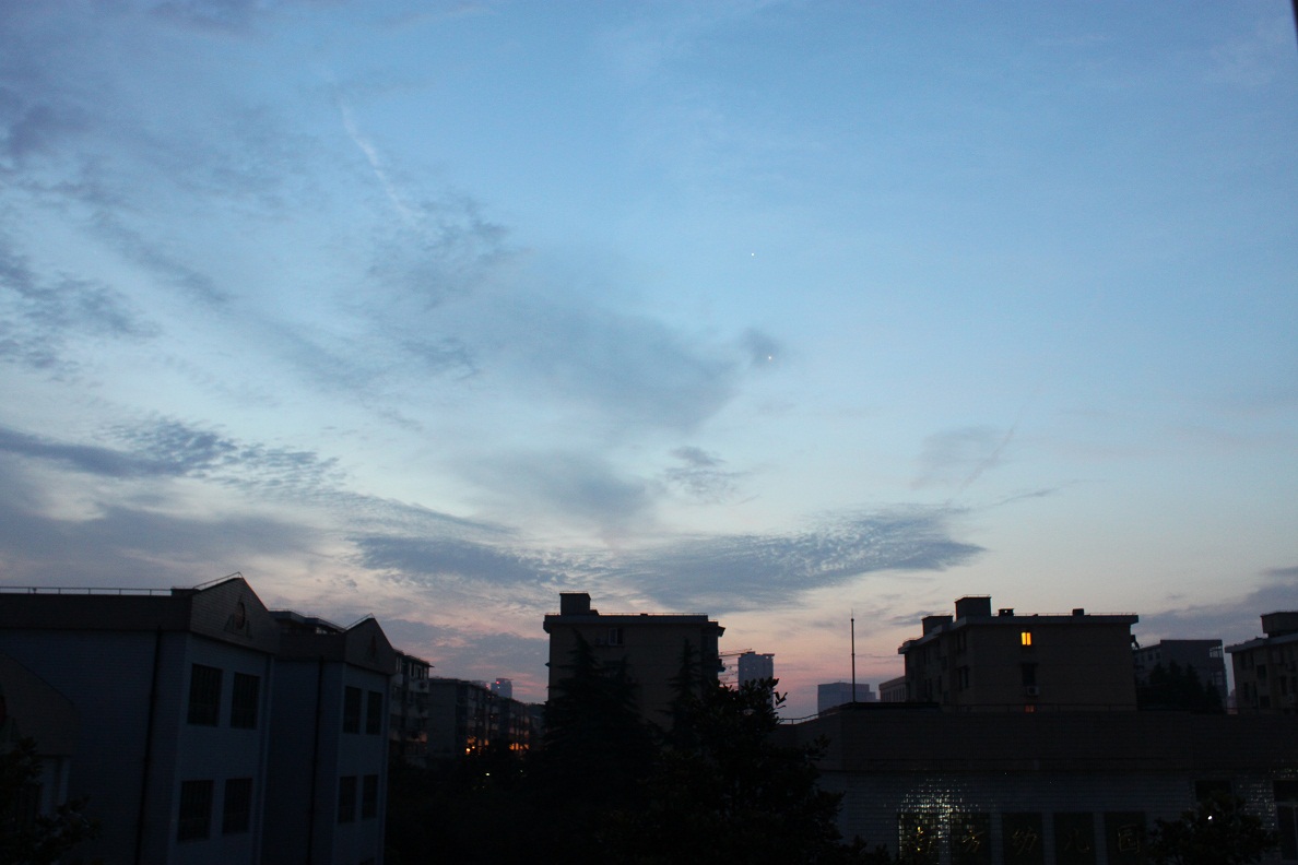 IMG_7854.jpg