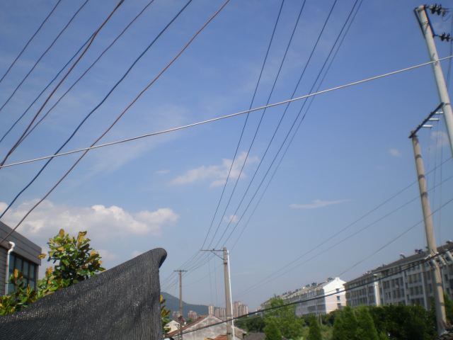 P7020049.png