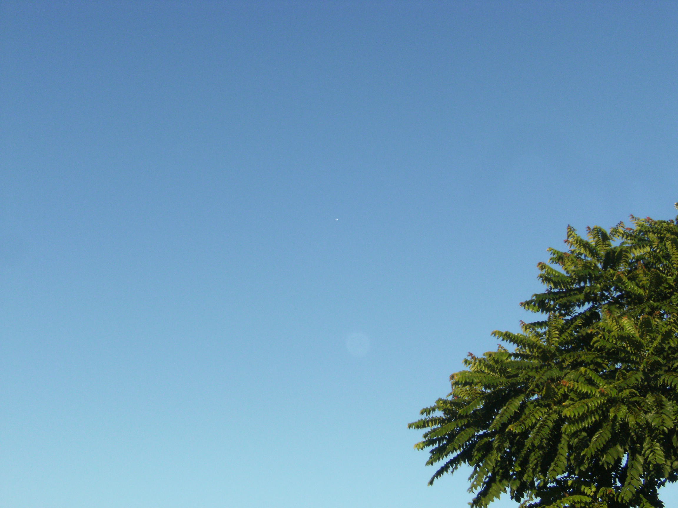 DSCF6796.JPG