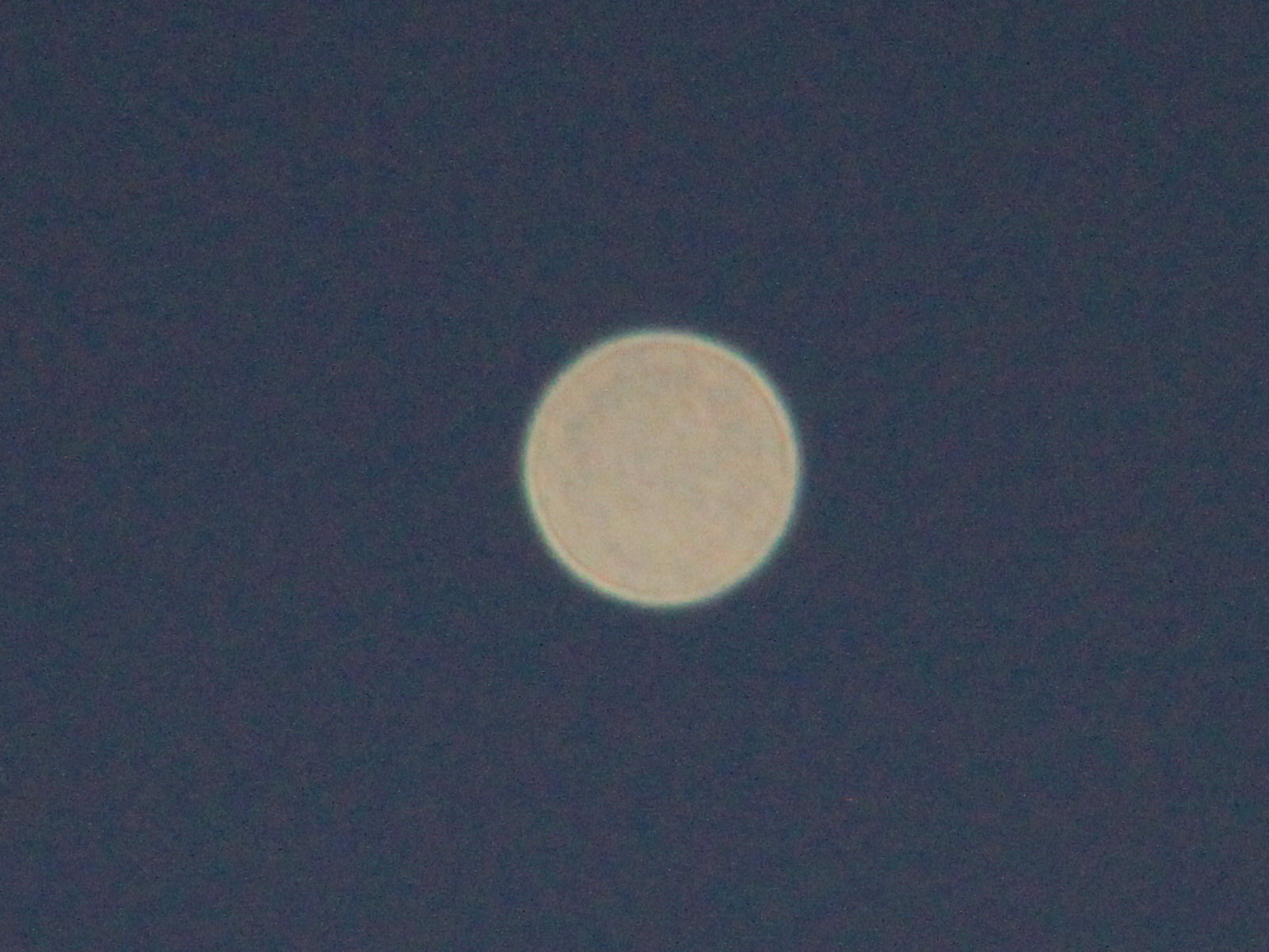 金星-4.jpg