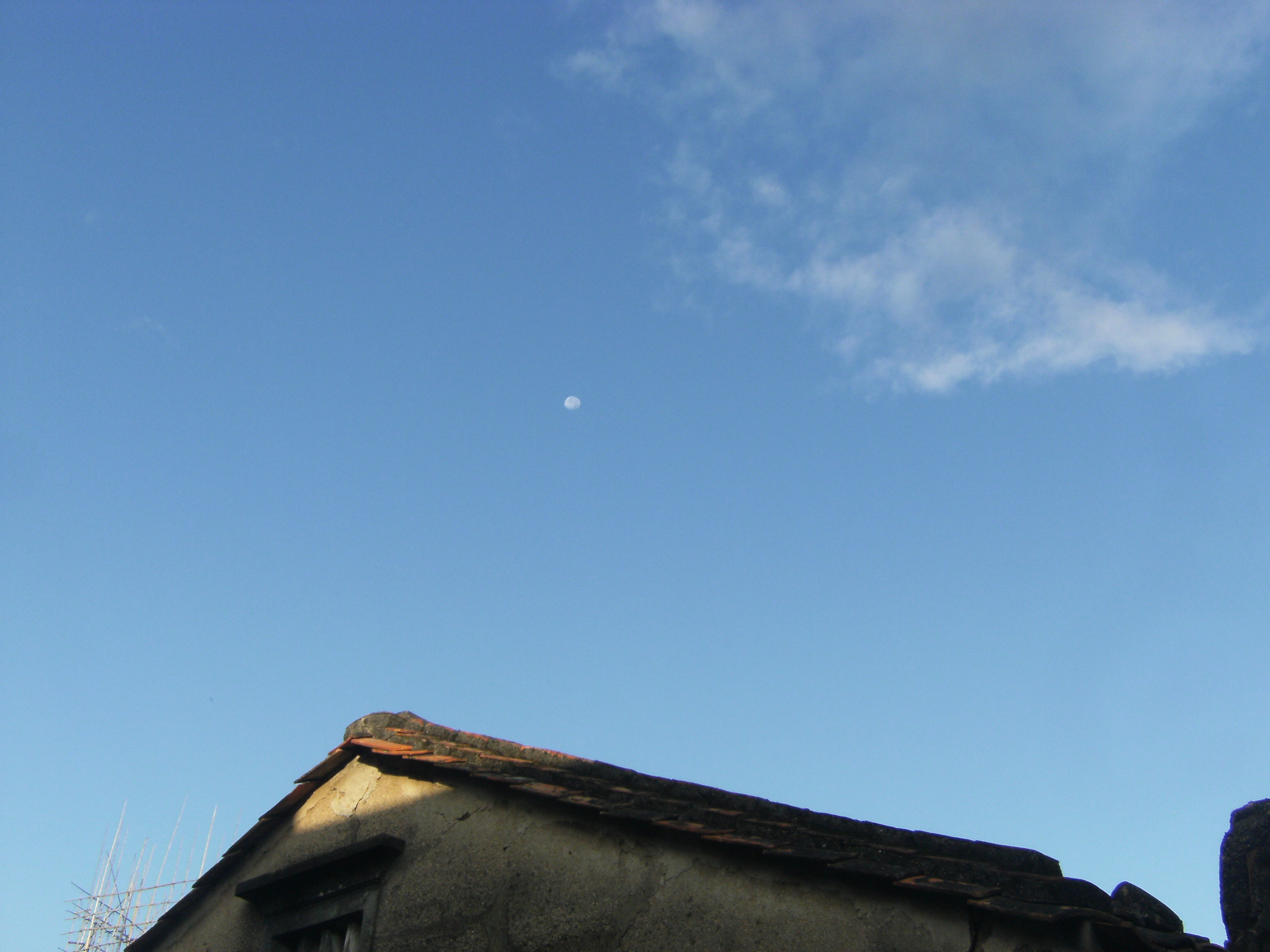 DSCF7147.JPG