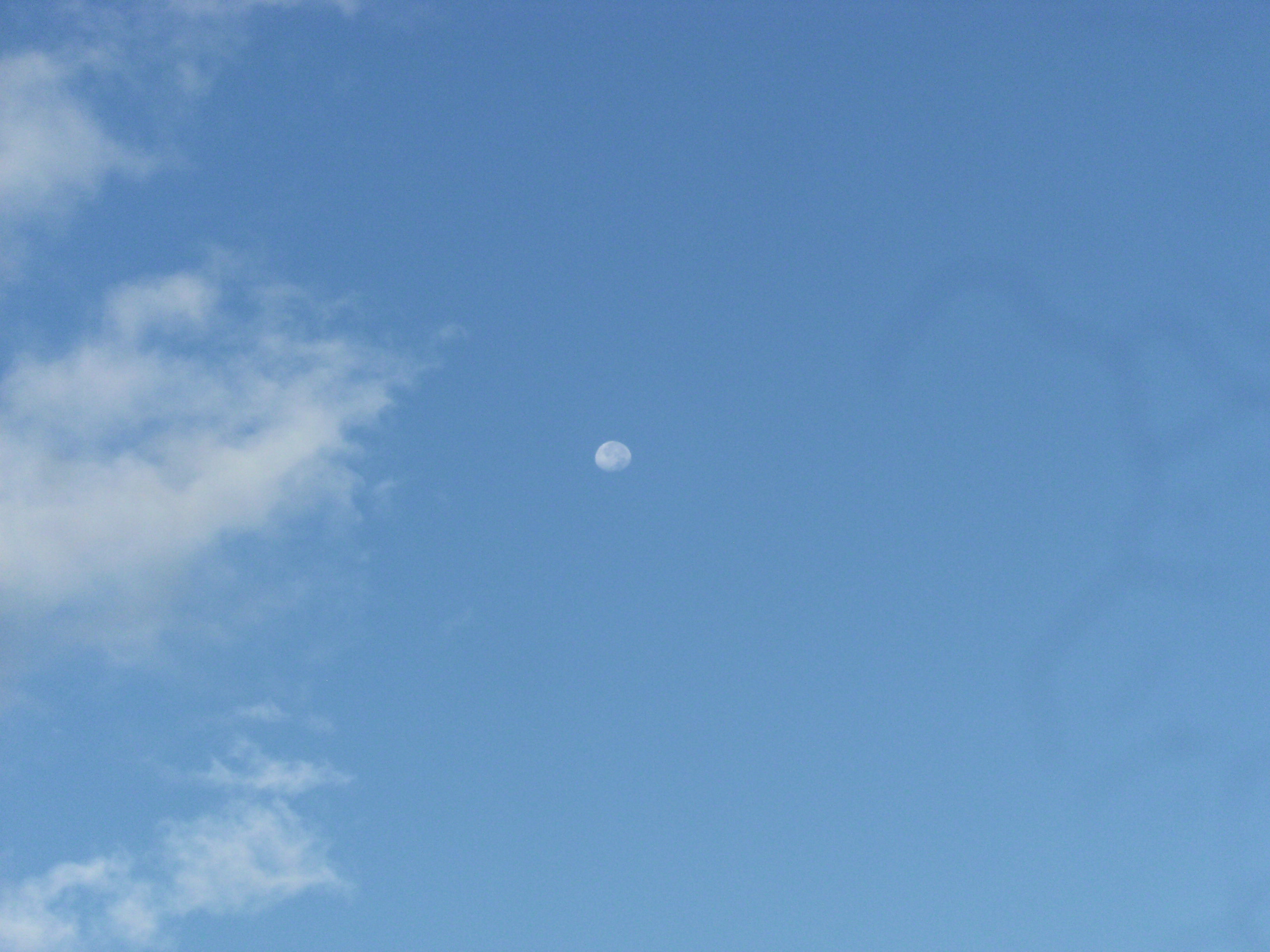 DSCF7158.JPG