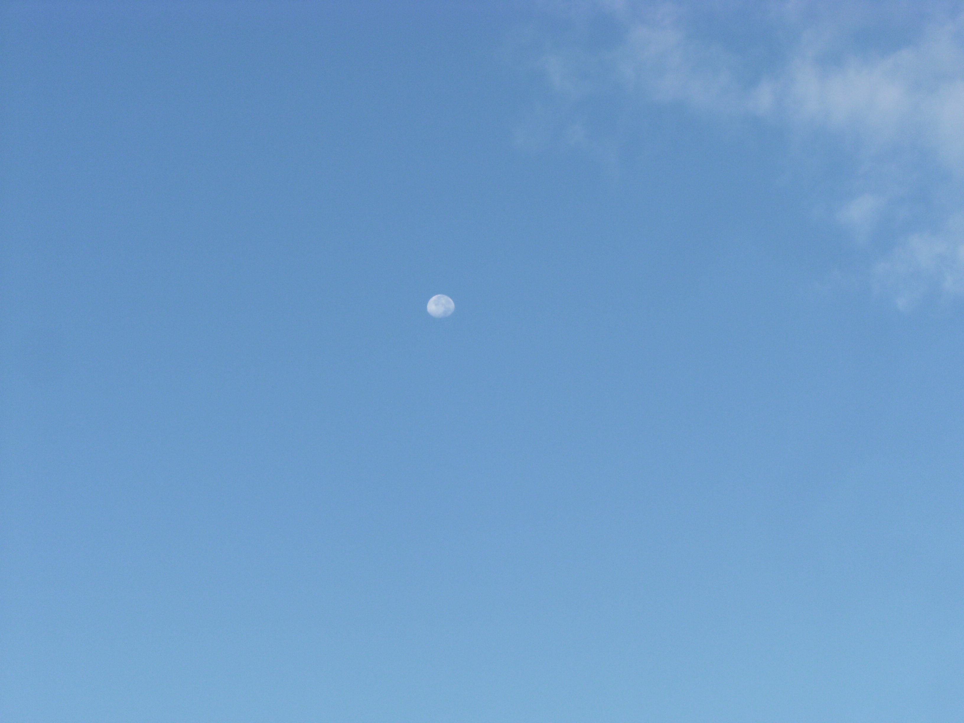 DSCF7146.JPG
