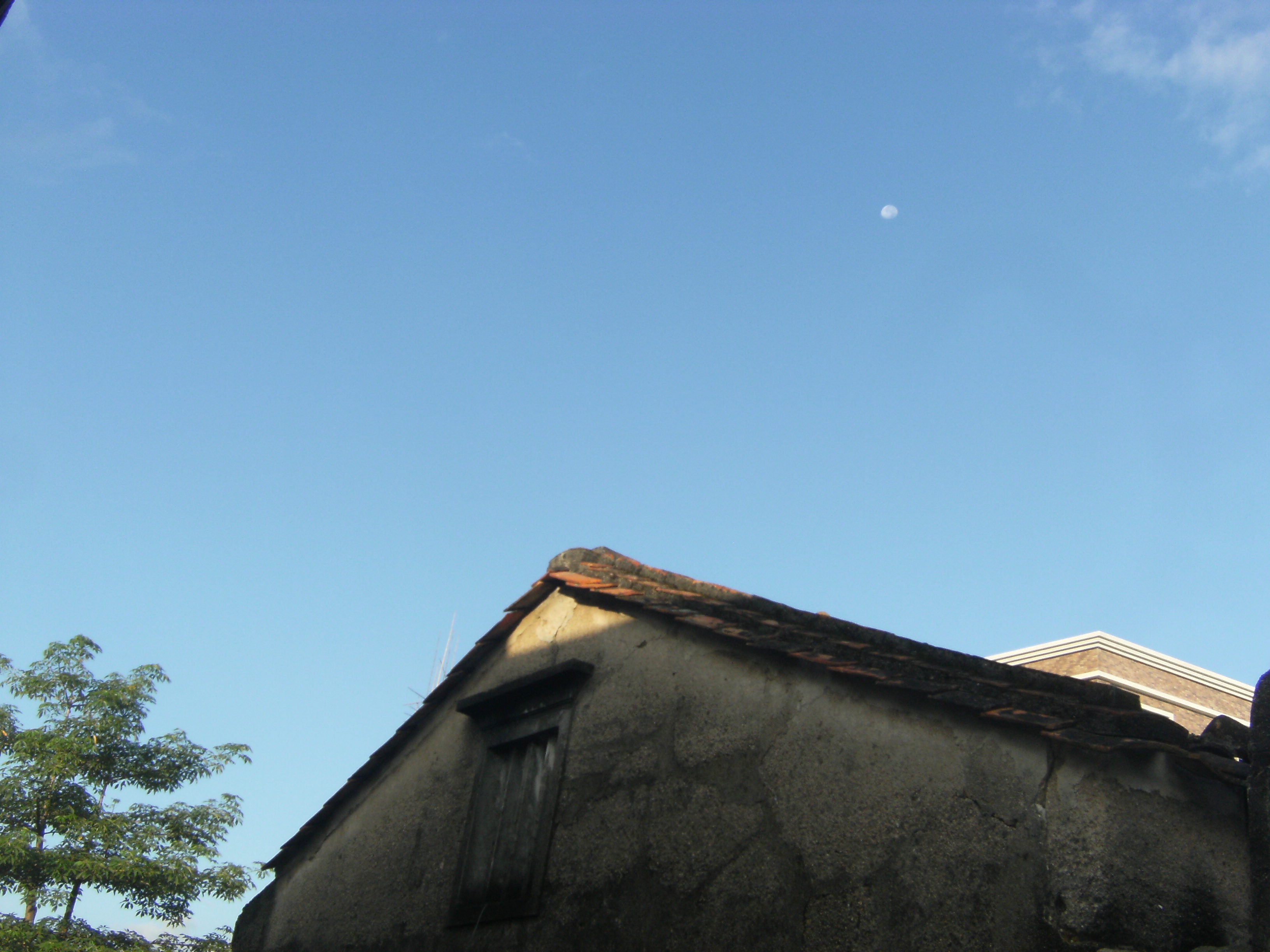 DSCF7148.JPG