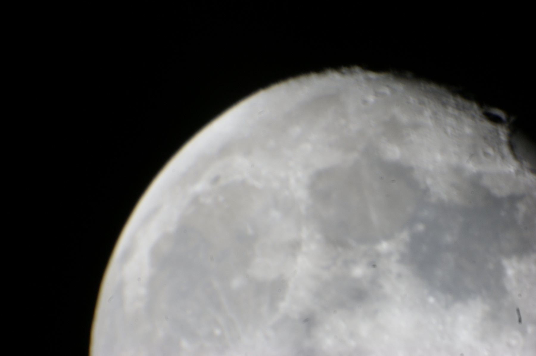 DSC07080.jpg