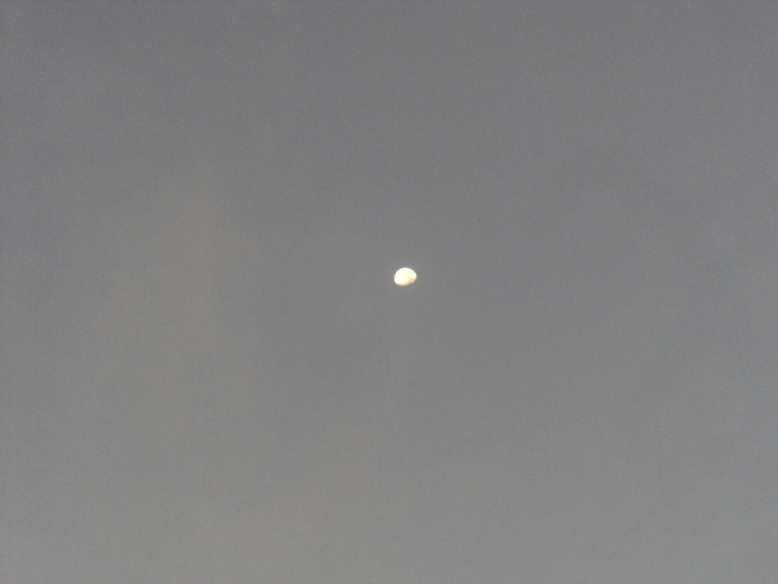 DSCF7205.JPG