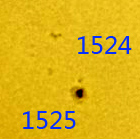 1524 25.jpg