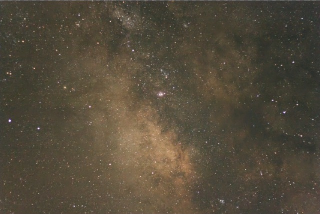 847.jpg