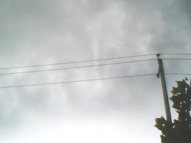 IMG0127A.jpg