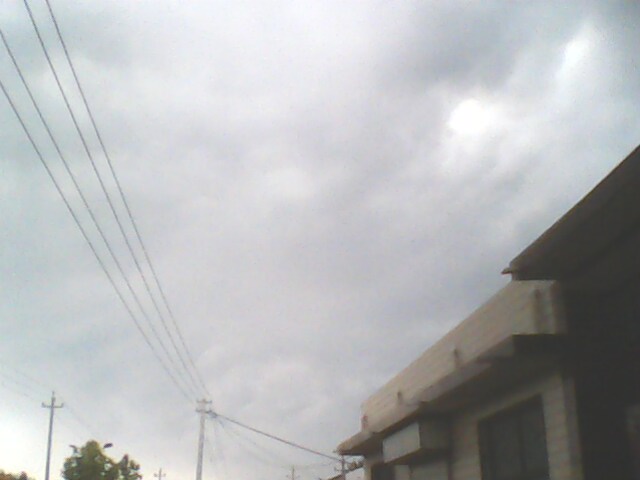 IMG0131A.jpg