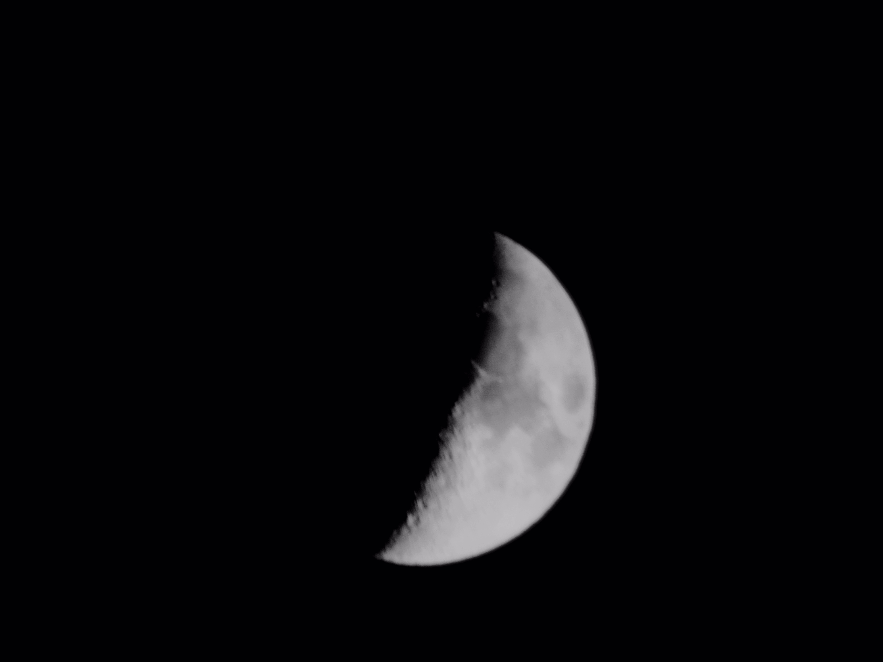 P7250001.jpg