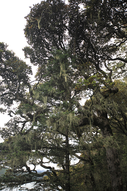 DPP_0038_副本.jpg
