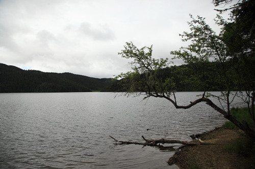 DPP_0054_副本.jpg