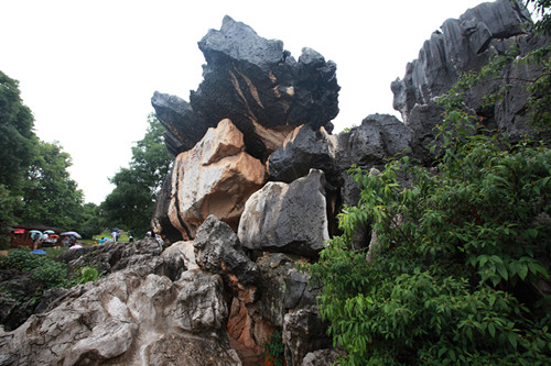 DPP_0008_副本.jpg