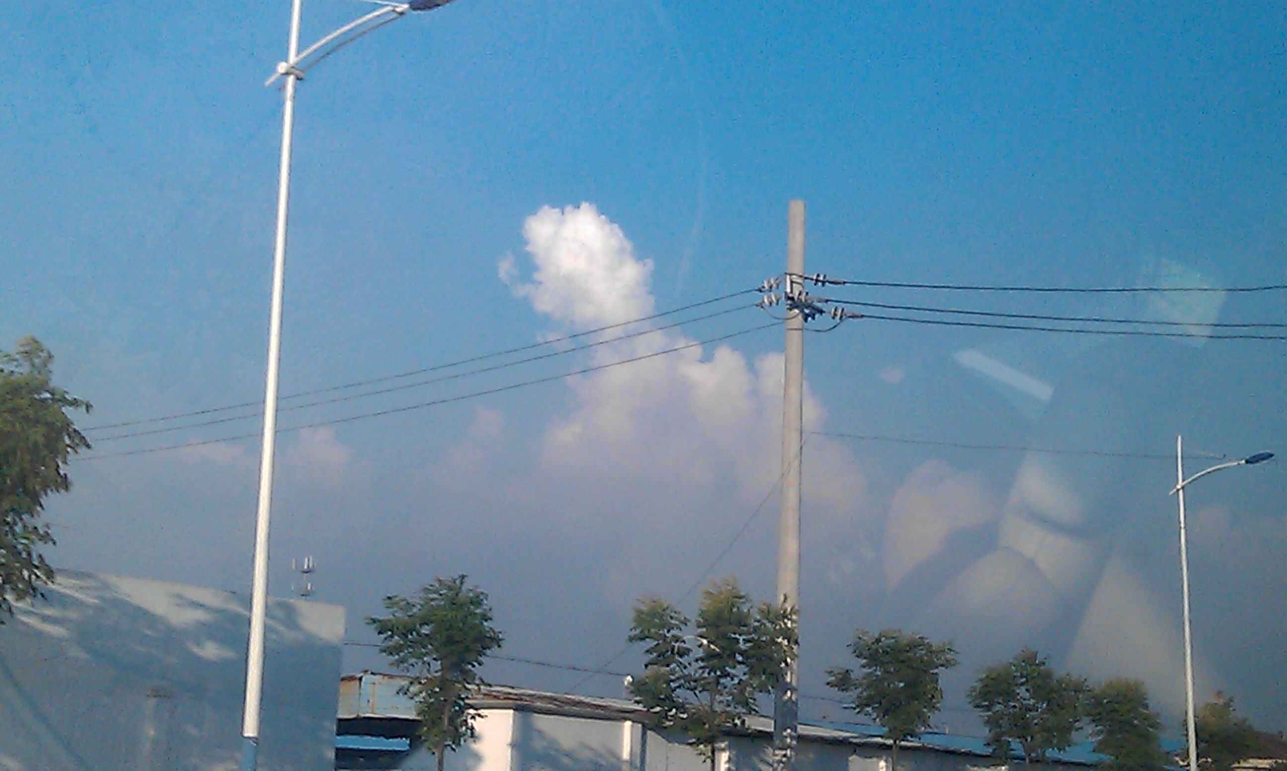 IMAG0081.jpg