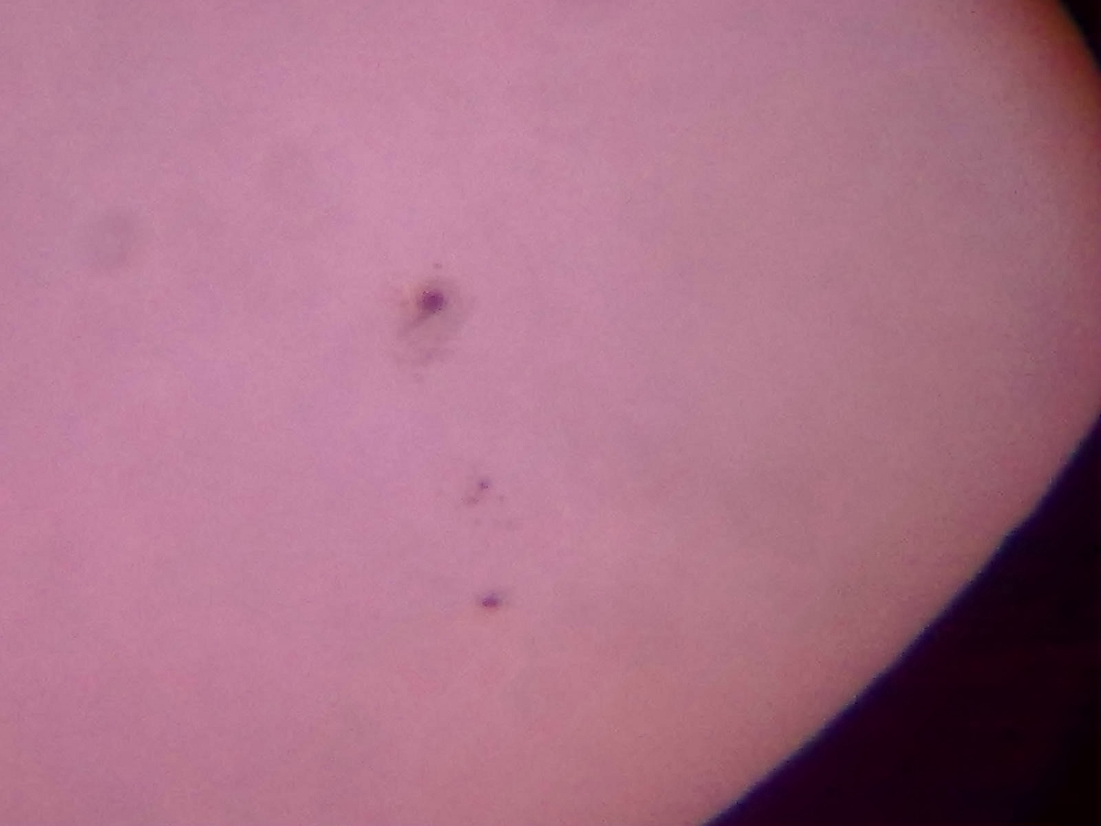 201207301353.jpg