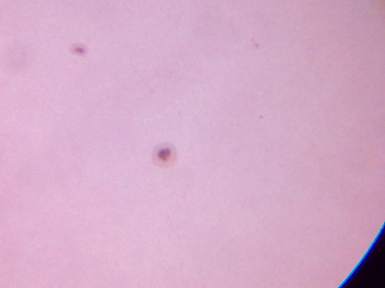 201207301356.jpg