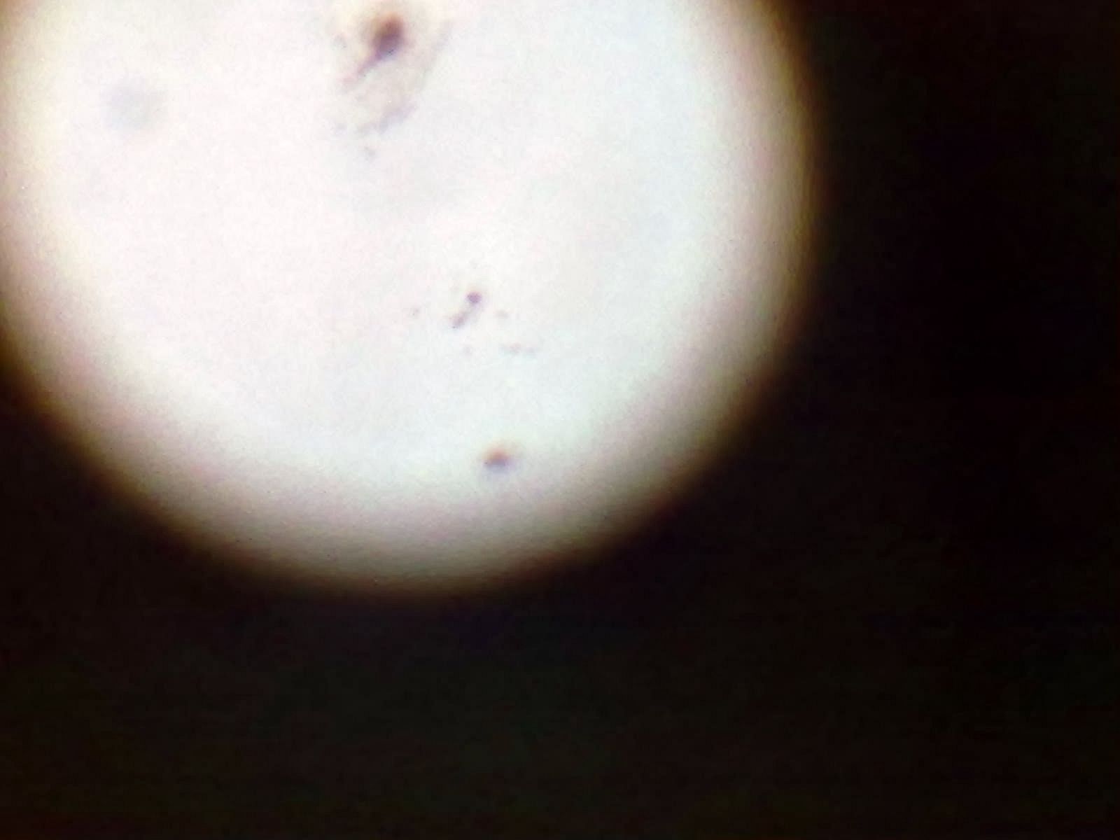 201207301340.jpg