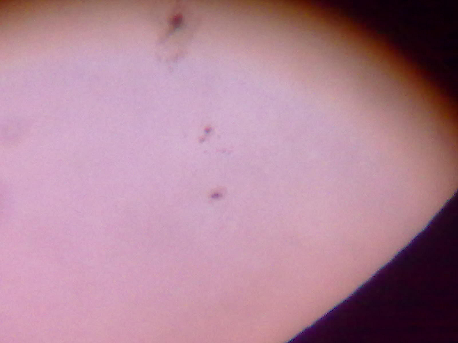 201207301355.jpg