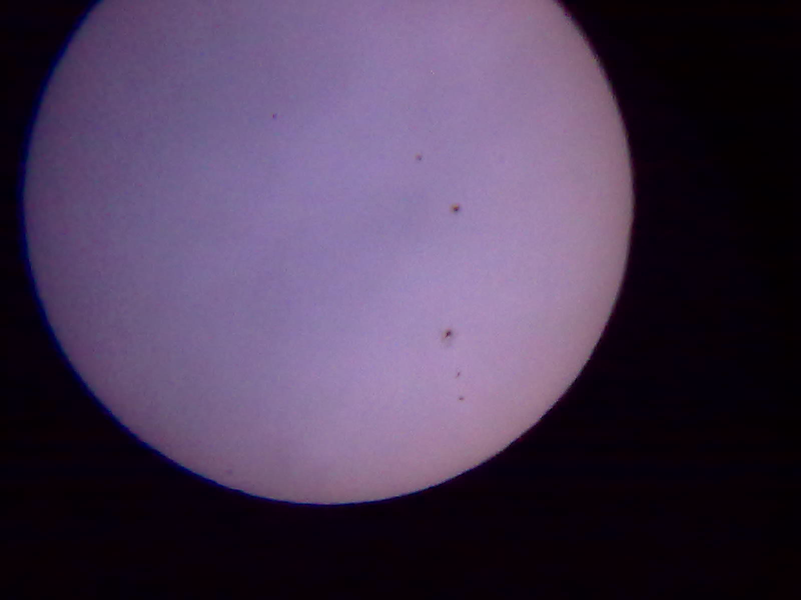 201207301351.jpg