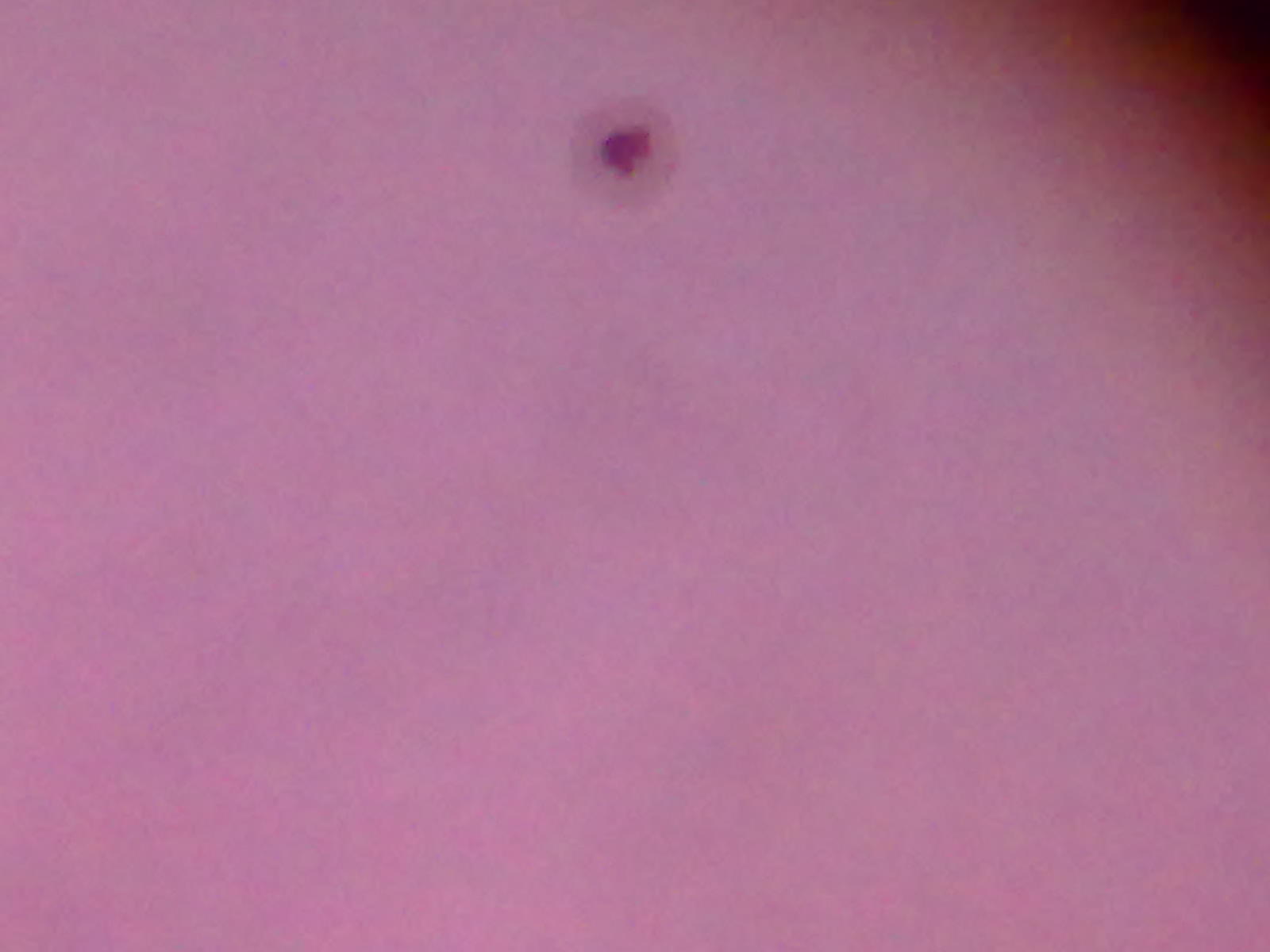 201207301358.jpg