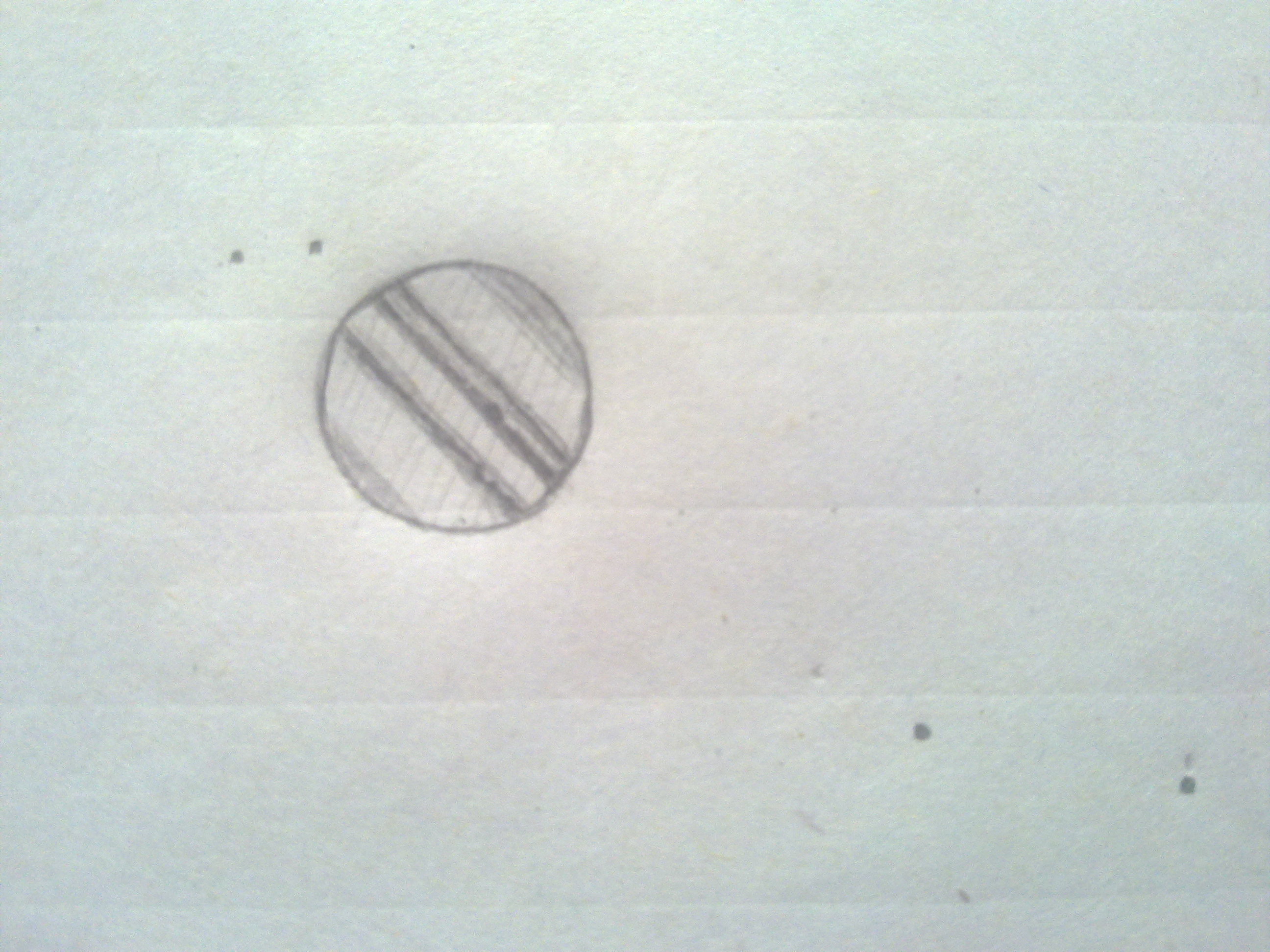 20120730415.jpg