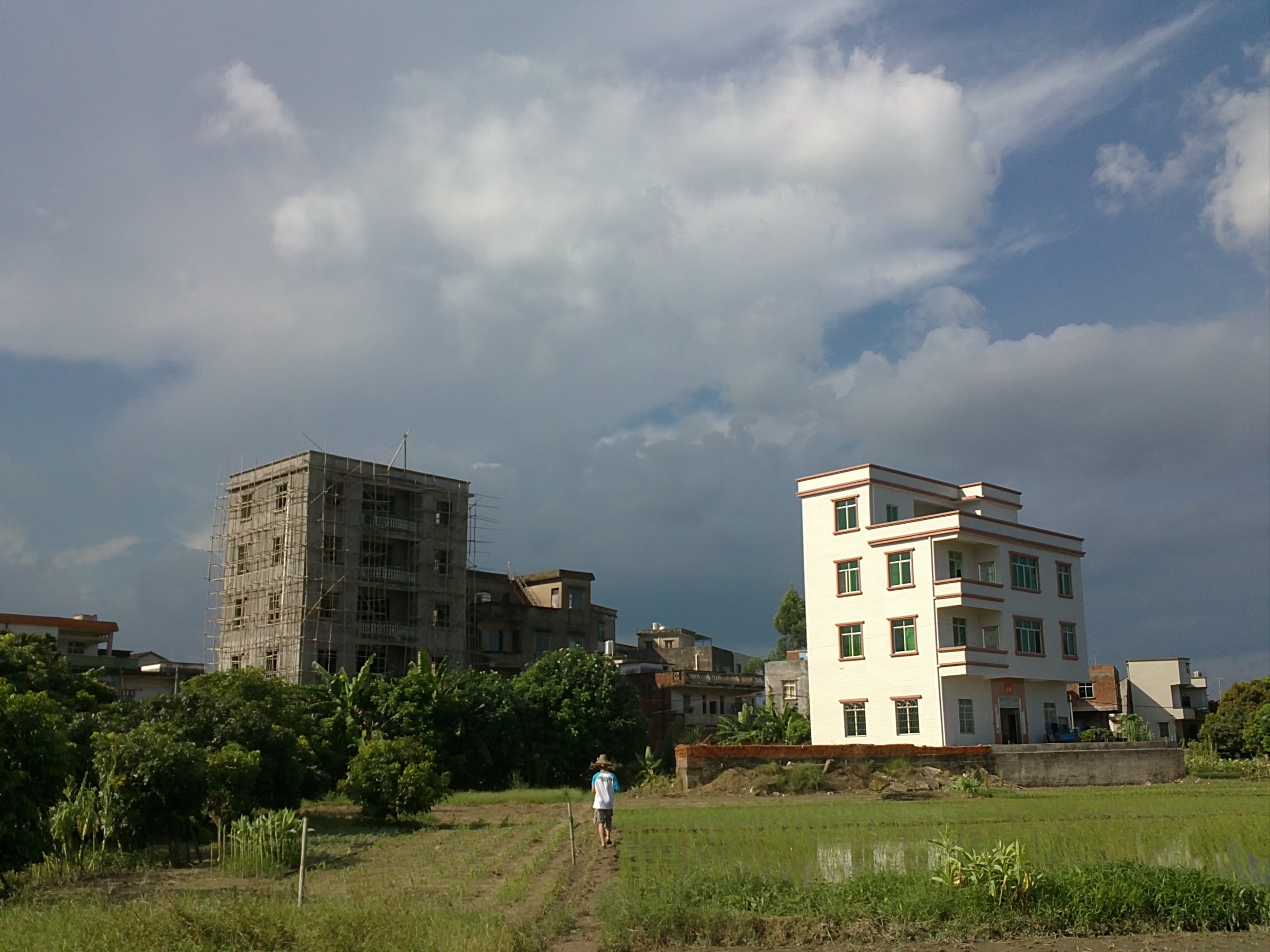 20120729103.jpg
