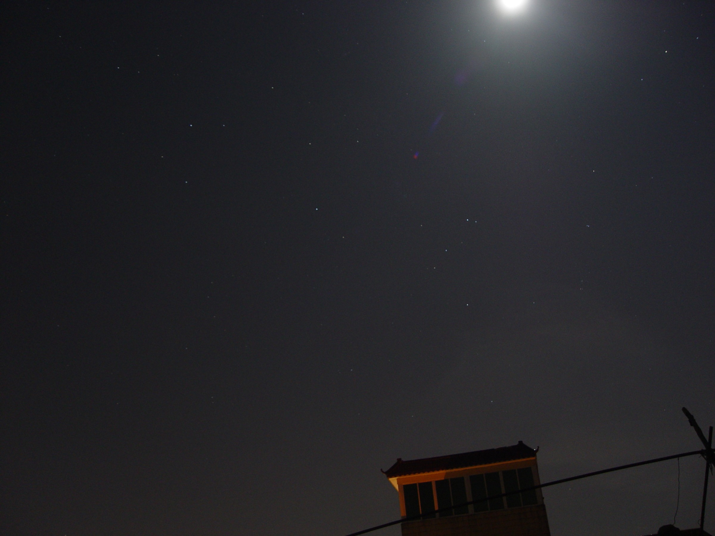 DSC00509.jpg