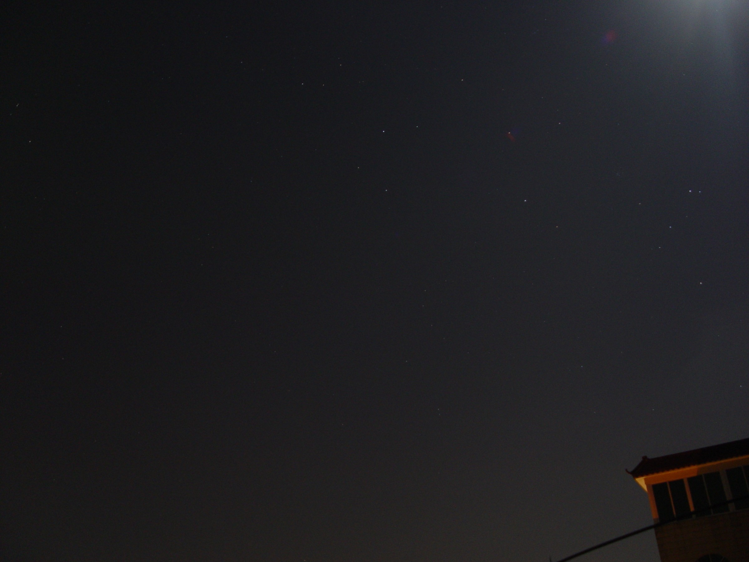 DSC00510.jpg