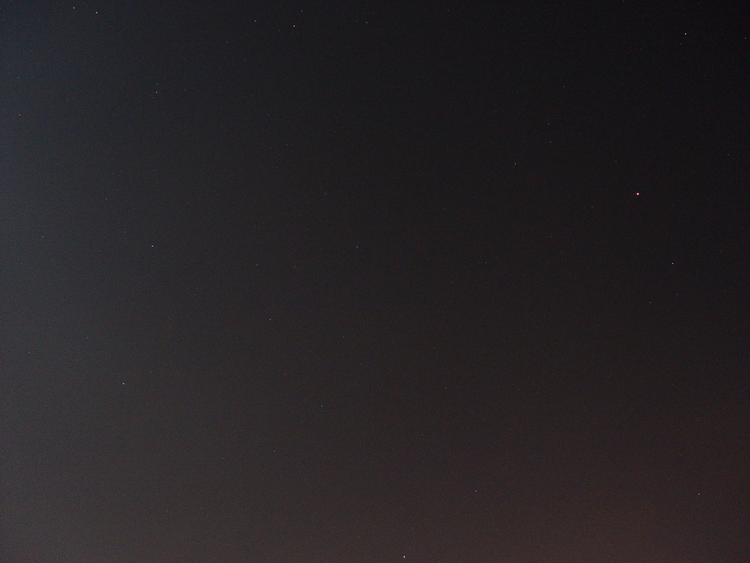 DSC00529.jpg