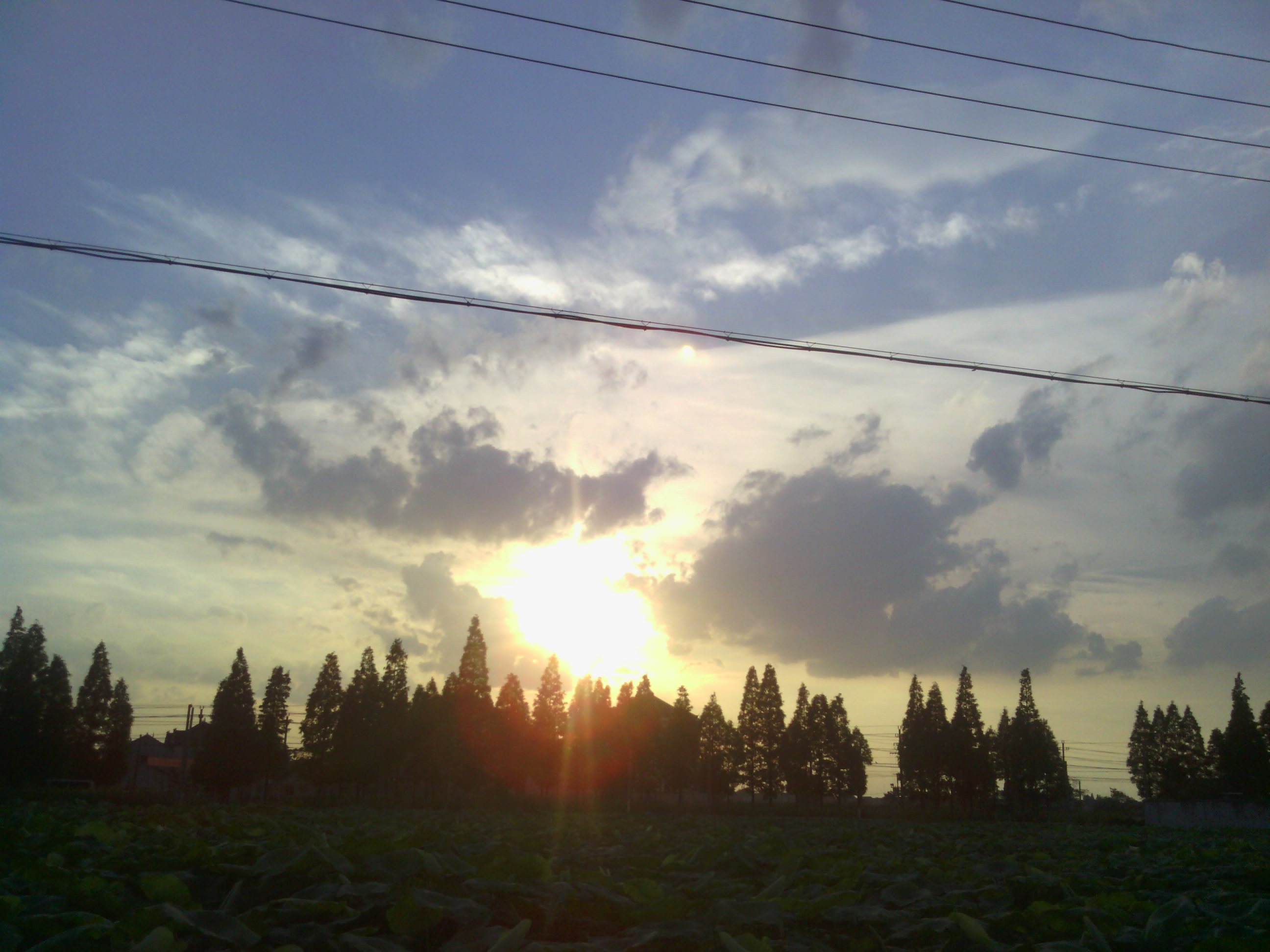 IMG_20120702_181647.jpg
