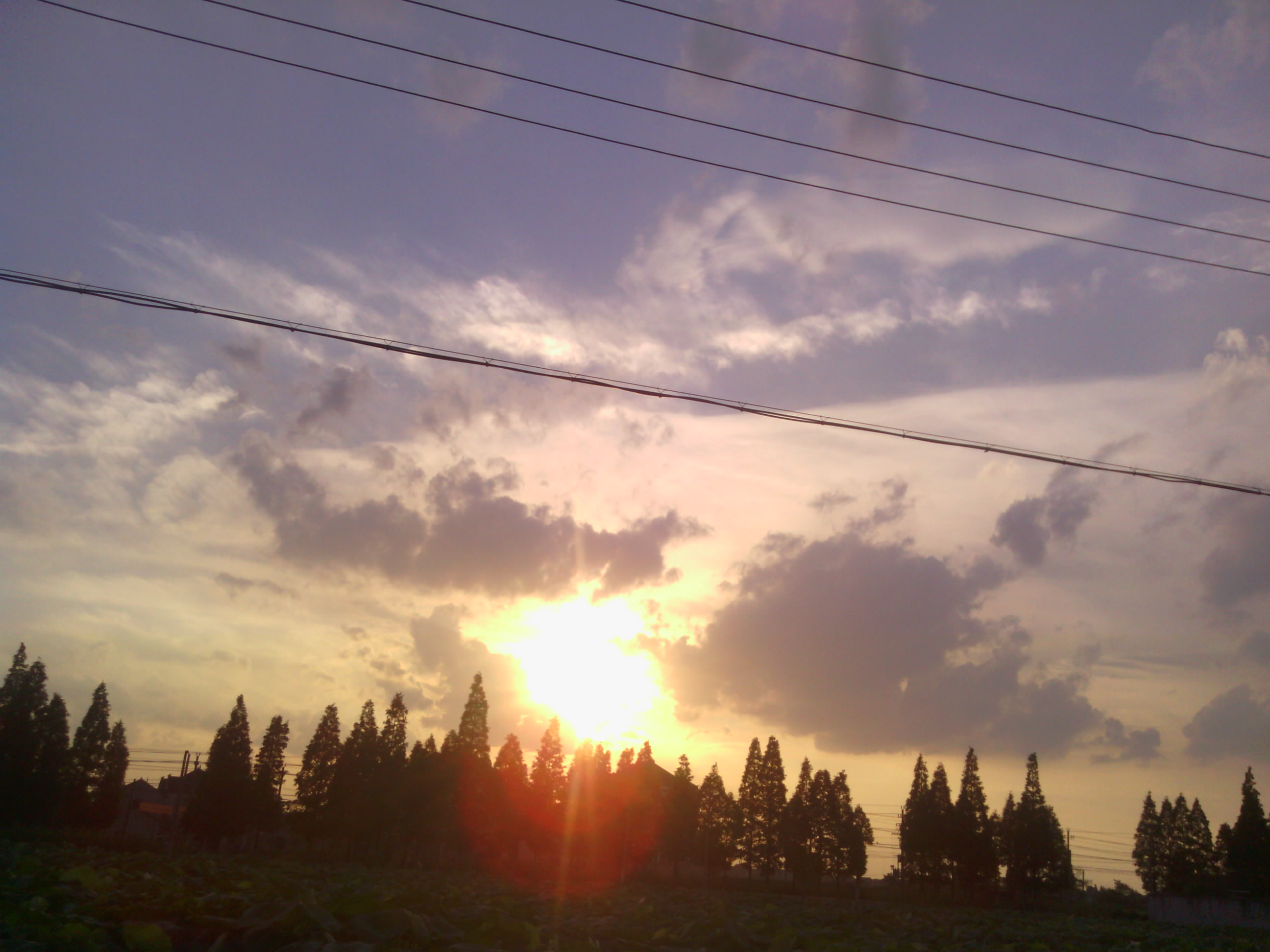 IMG_20120702_181700.jpg