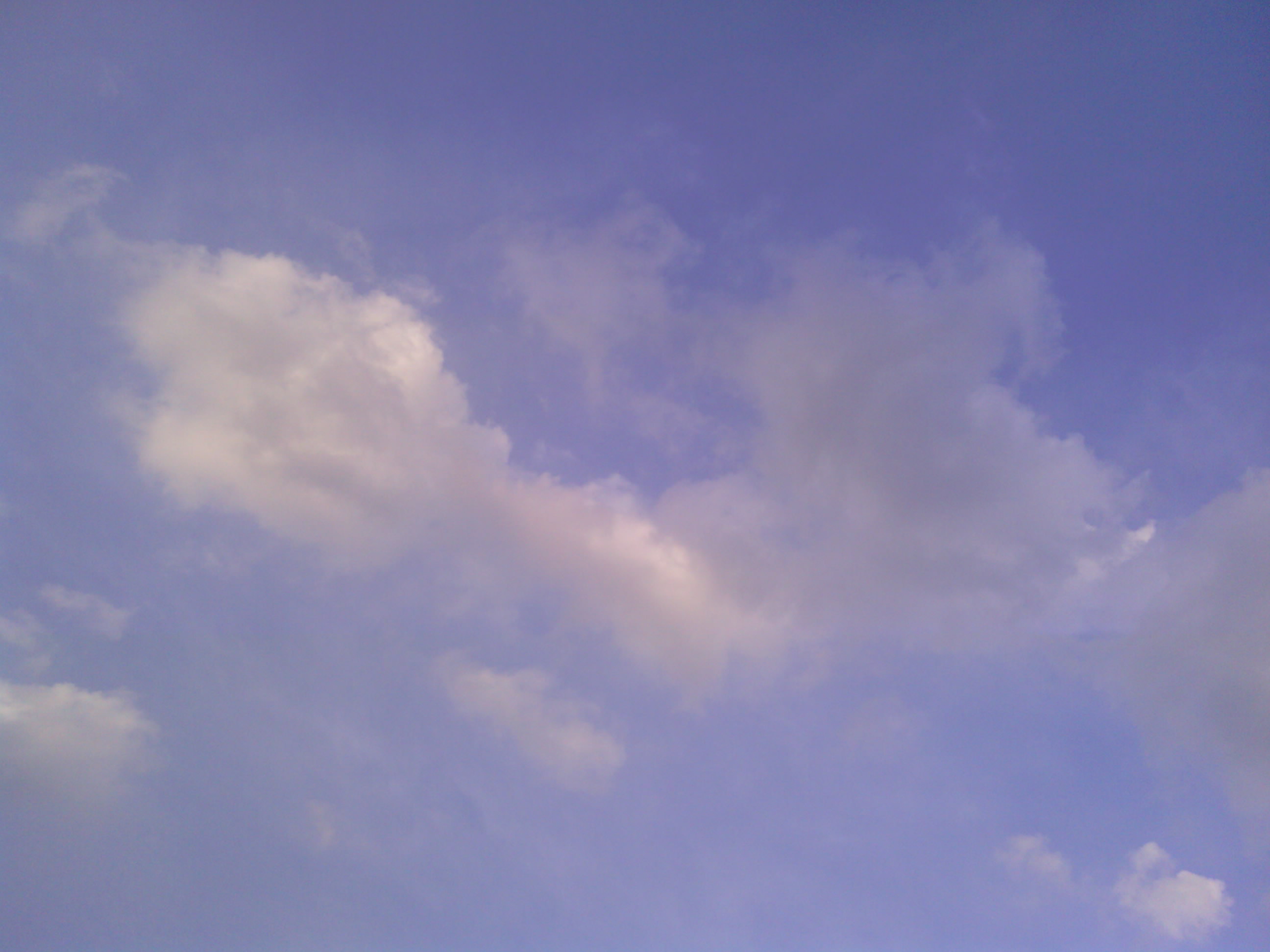 IMG_20120702_181711.jpg